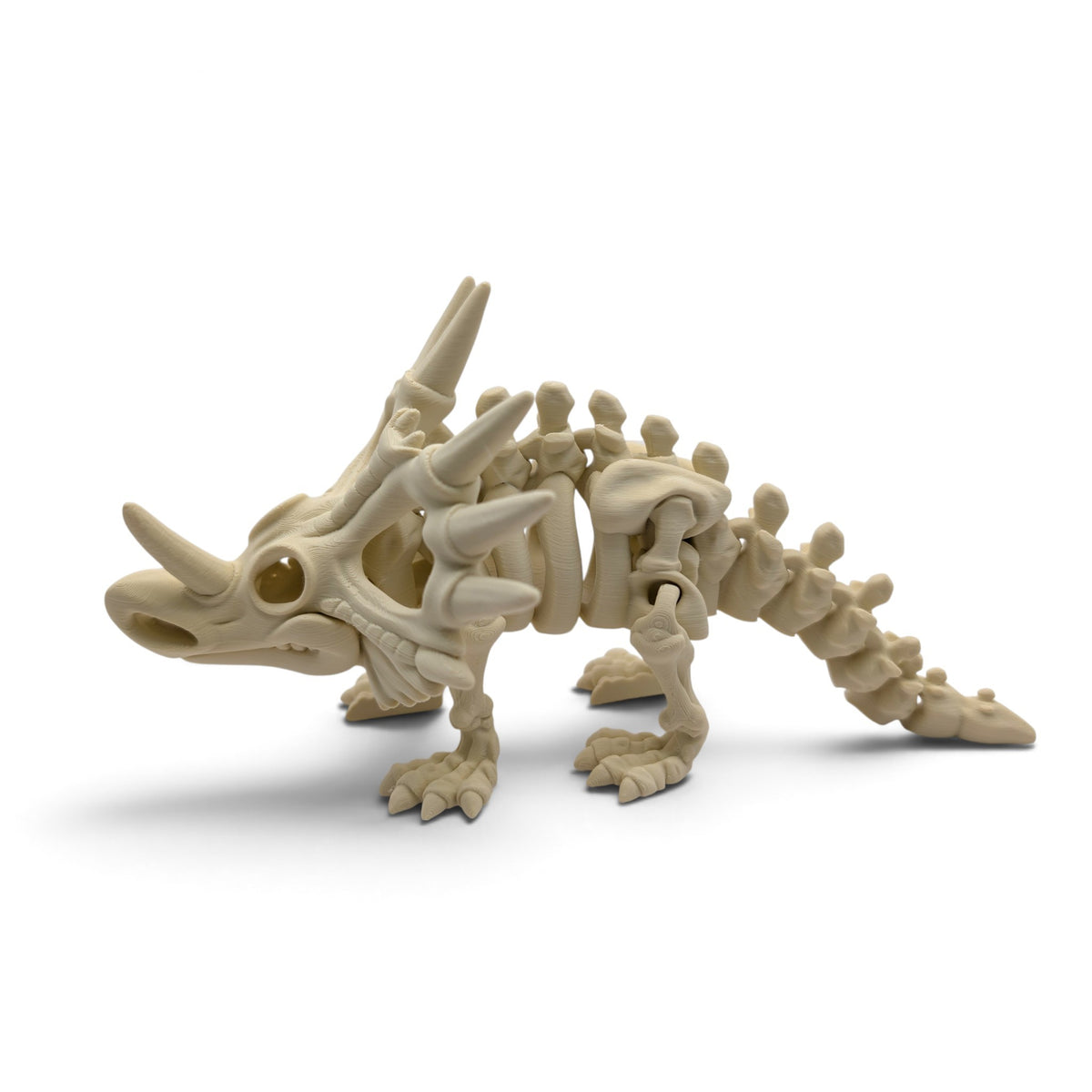 Skeleton toys
