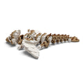 Chocolate chip cookie dragon (winged)