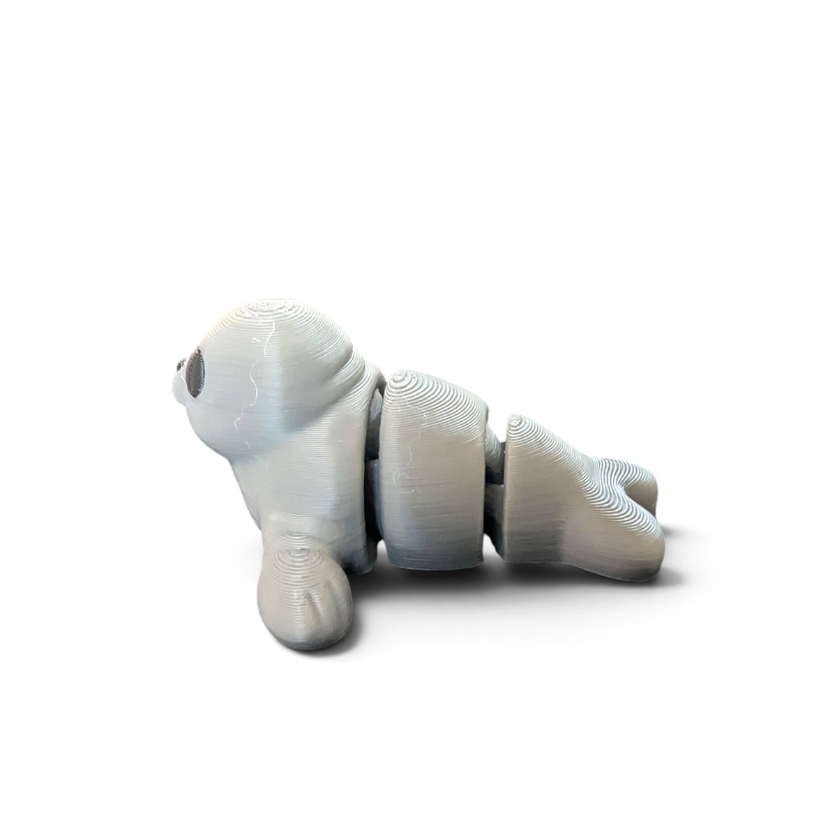Baby seal