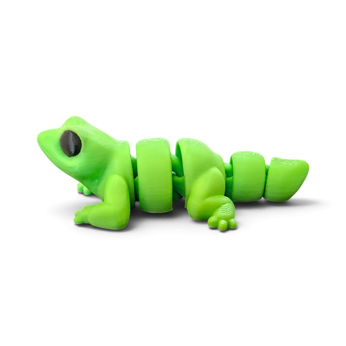 Lizard