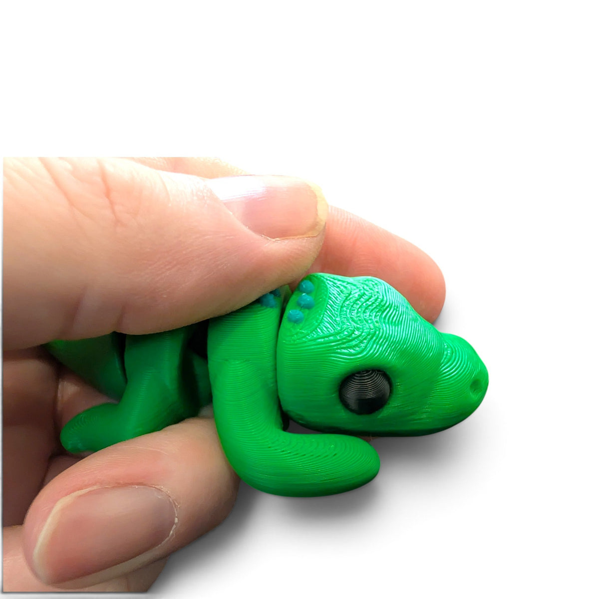 Crocodile