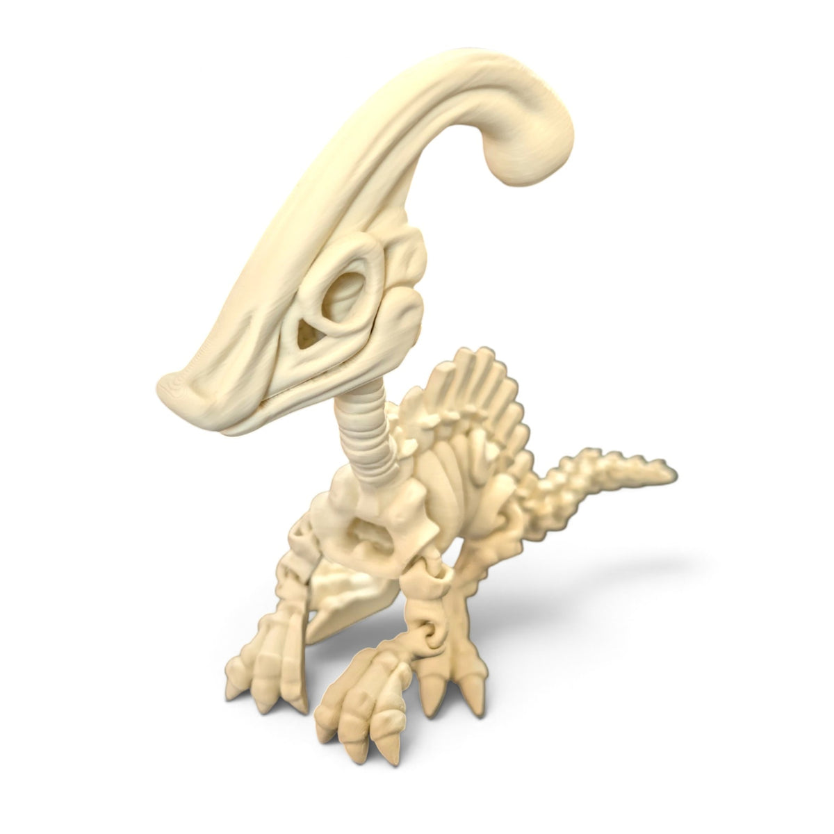 Parasaurolophus skeleton