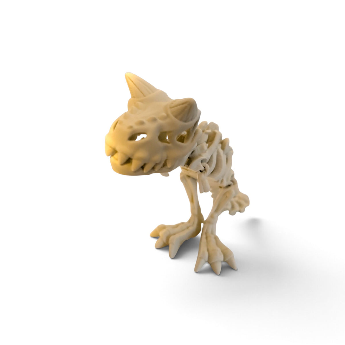 Carnotaurus skeleton