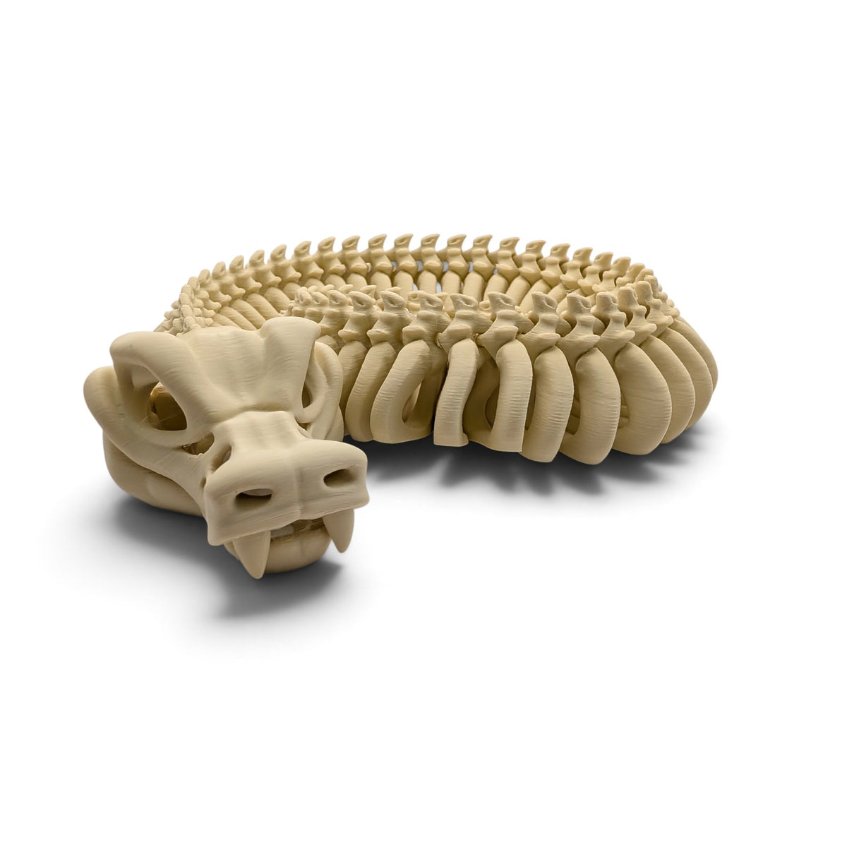 Skeleton snake