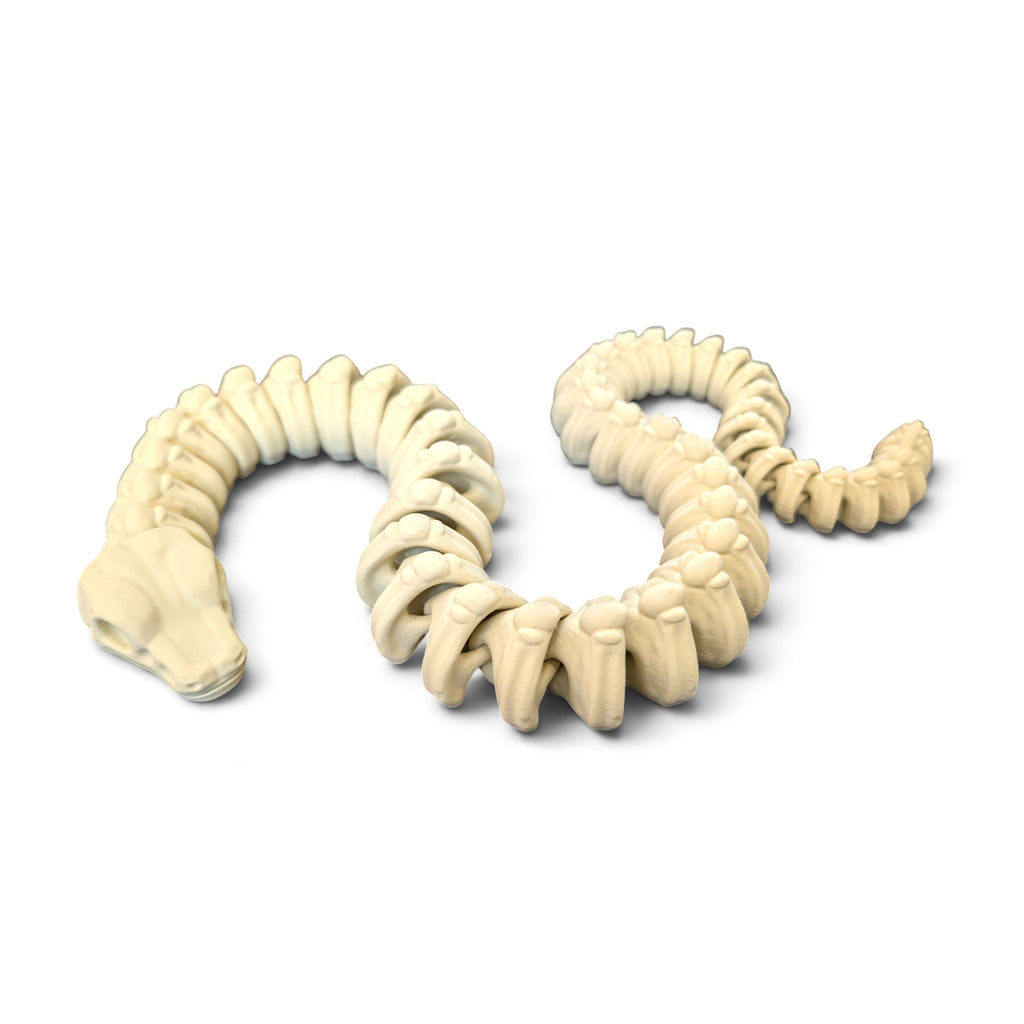 Zou Snake Skeleton