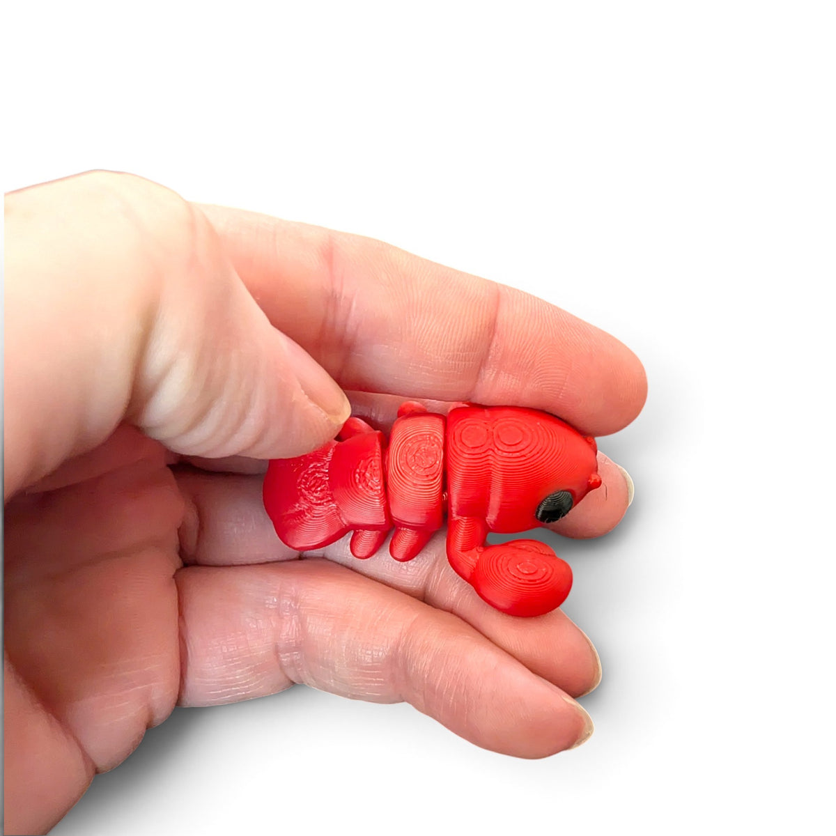 Baby lobster