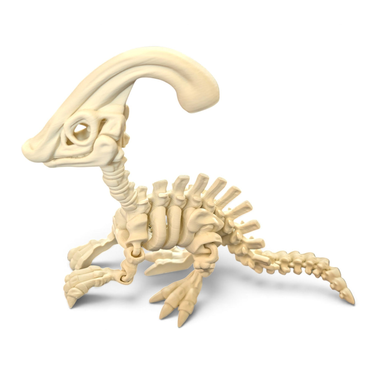 Parasaurolophus skeleton