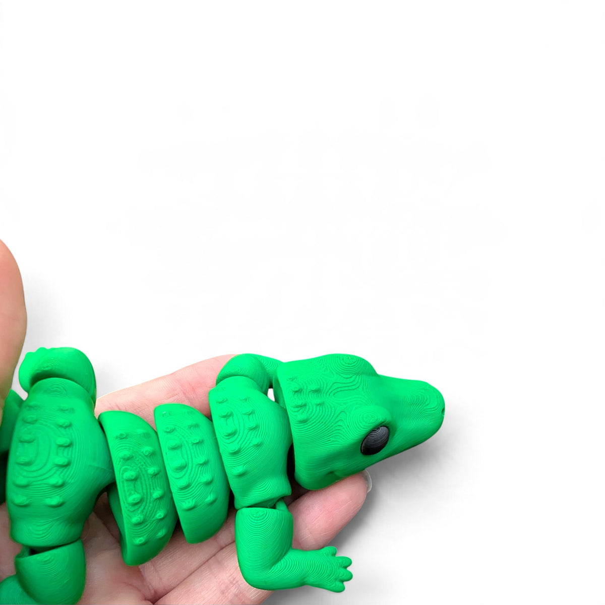 Zou Alligator