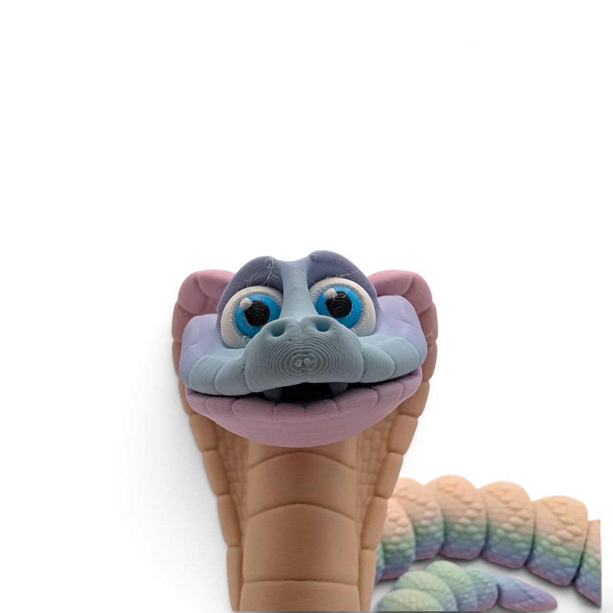 King Cobra short body