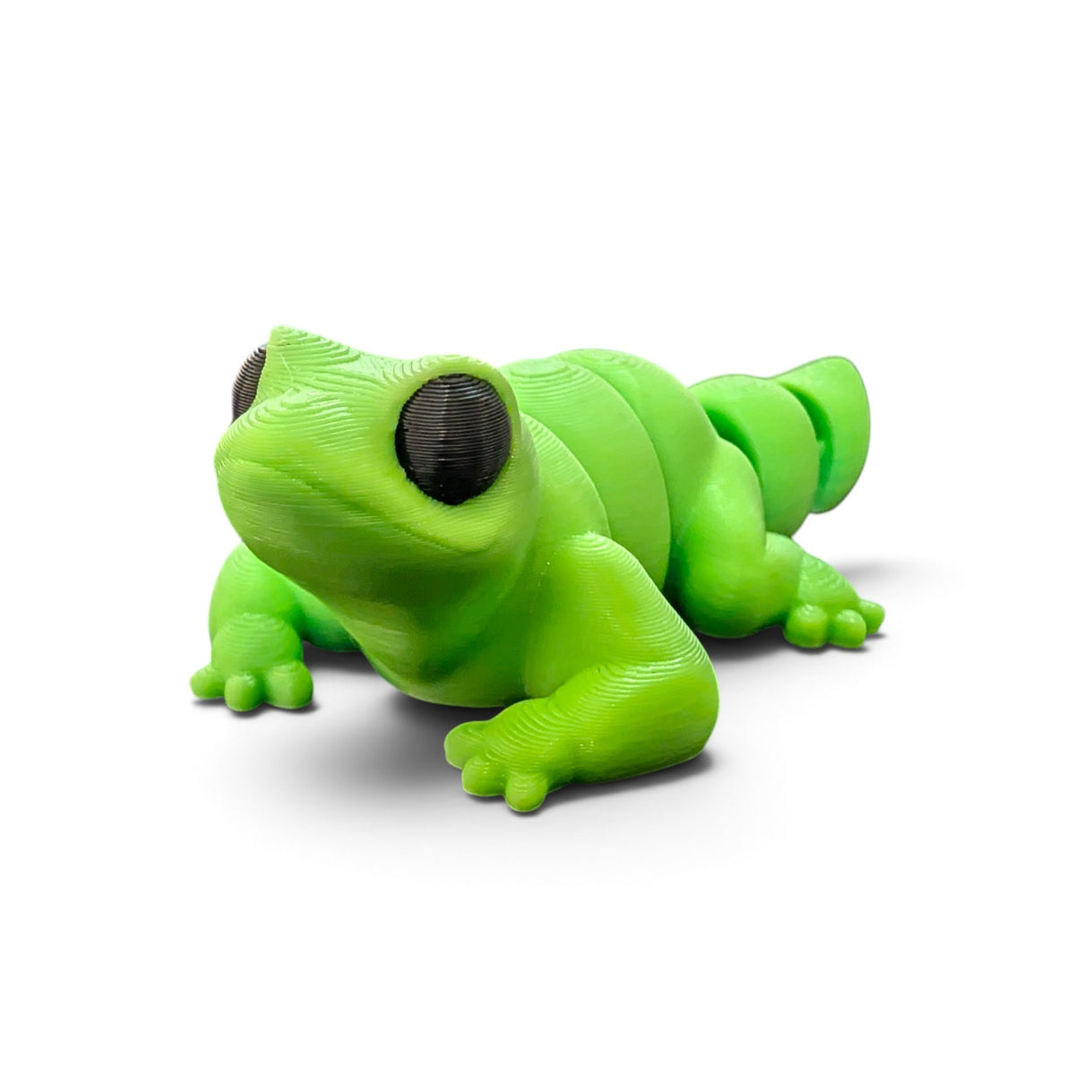 Lizard