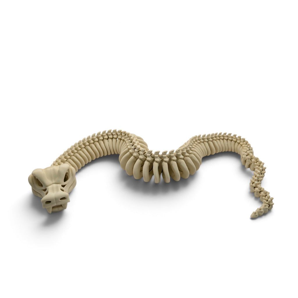 Skeleton snake
