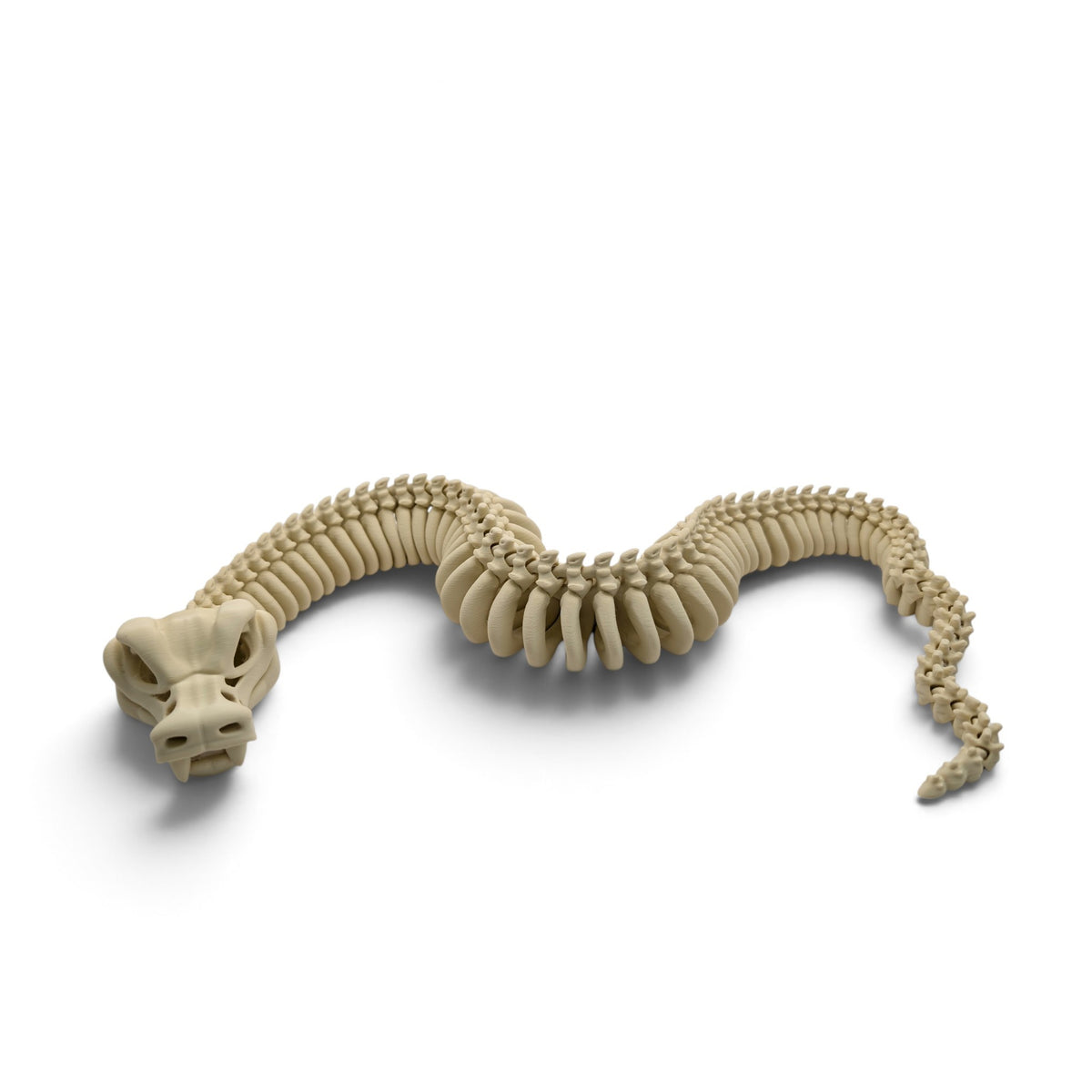 Skeleton snake