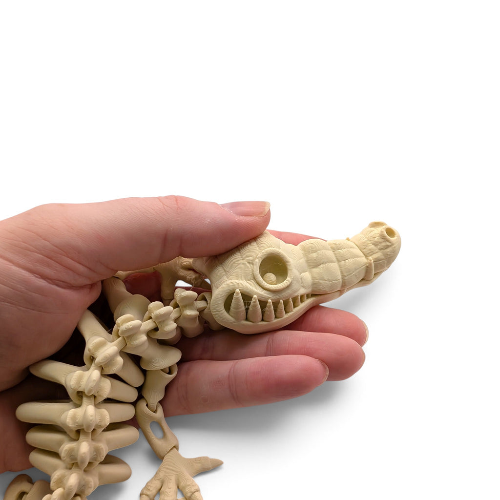 Crocodile Skeleton