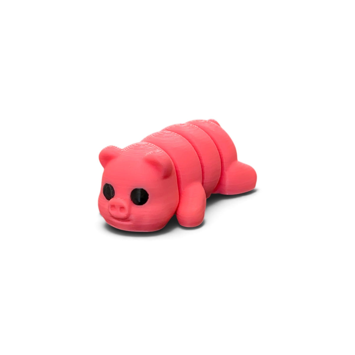 Baby pig
