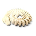 Zou Snake Skeleton