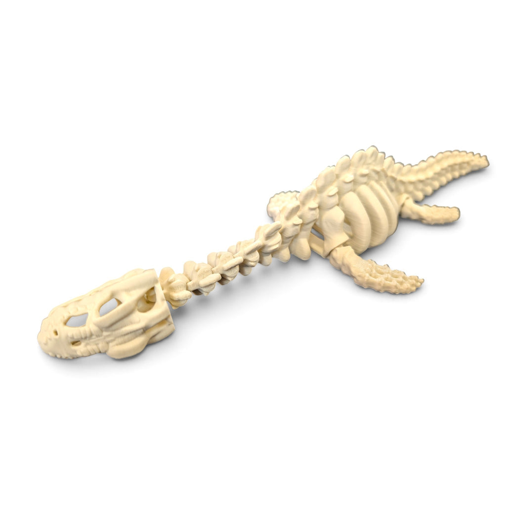 Plesiosaur skeleton