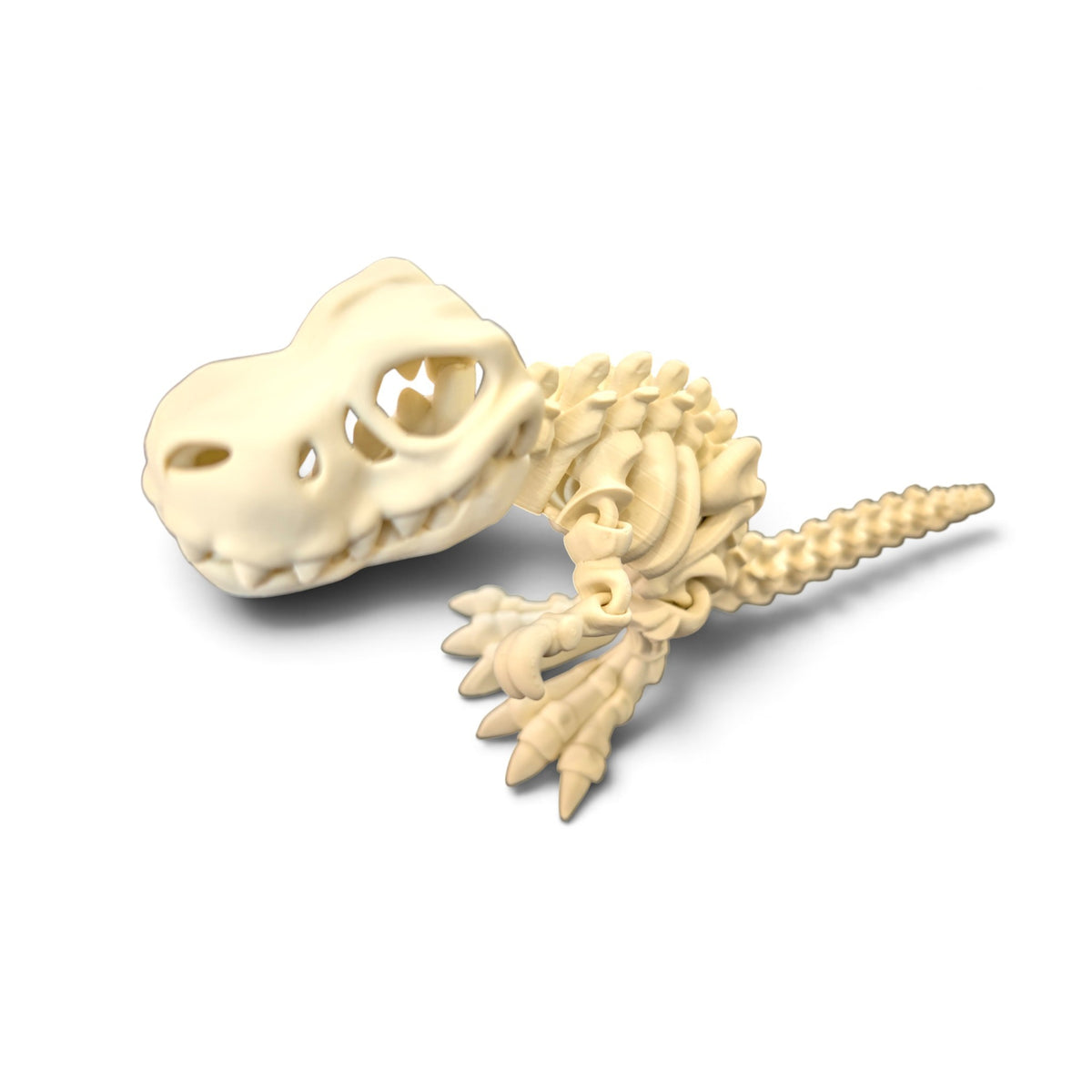 T-Rex skeleton