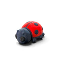 Ladybird