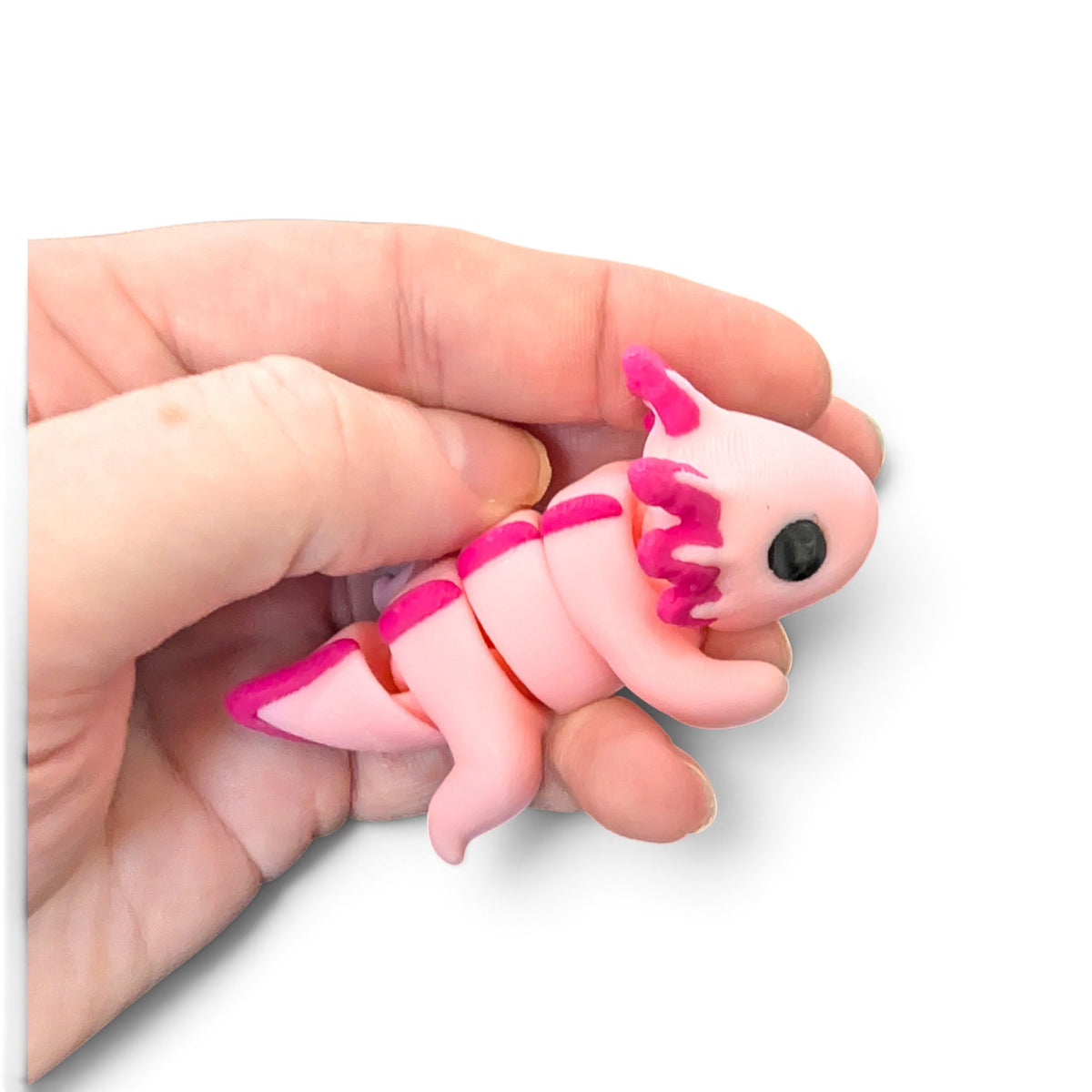 Axolotl