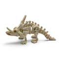 Styracosaurus Skeleton