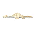 Plesiosaur skeleton
