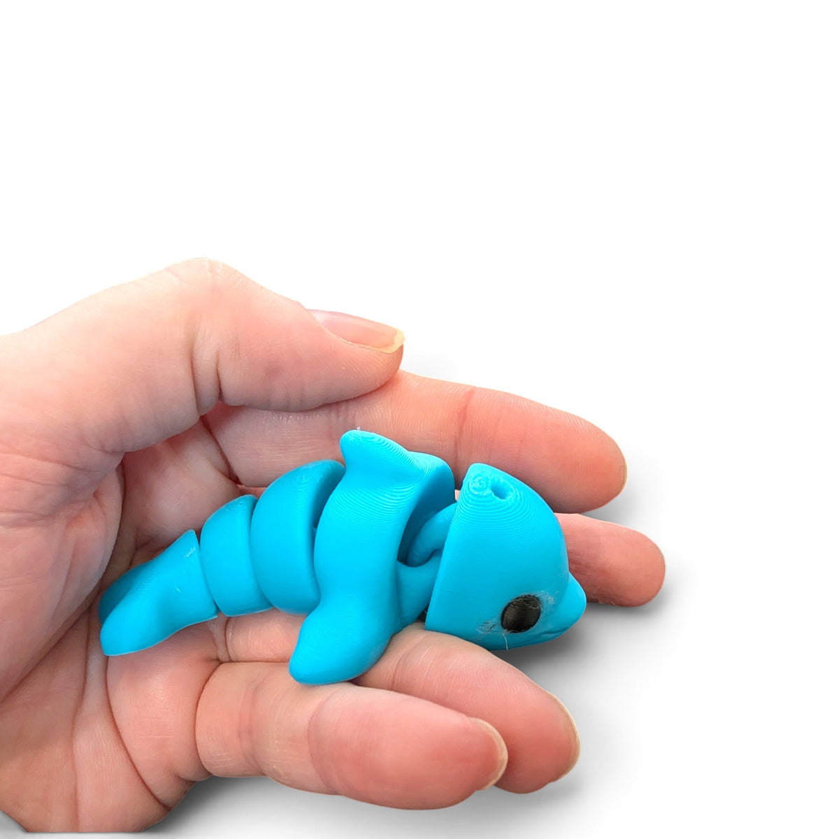 Dolphin