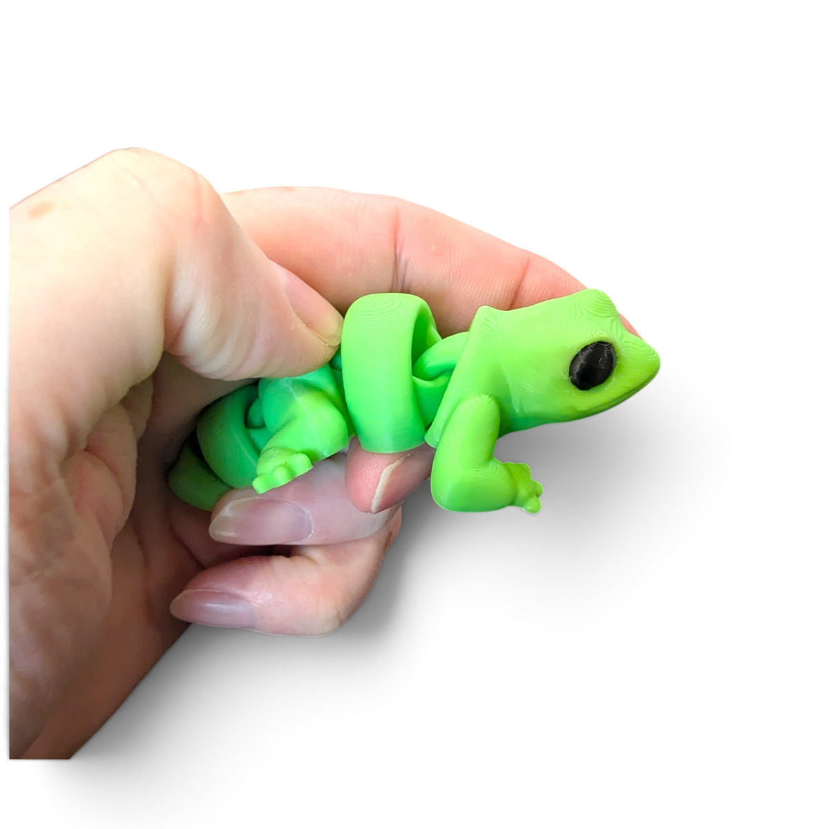 Lizard