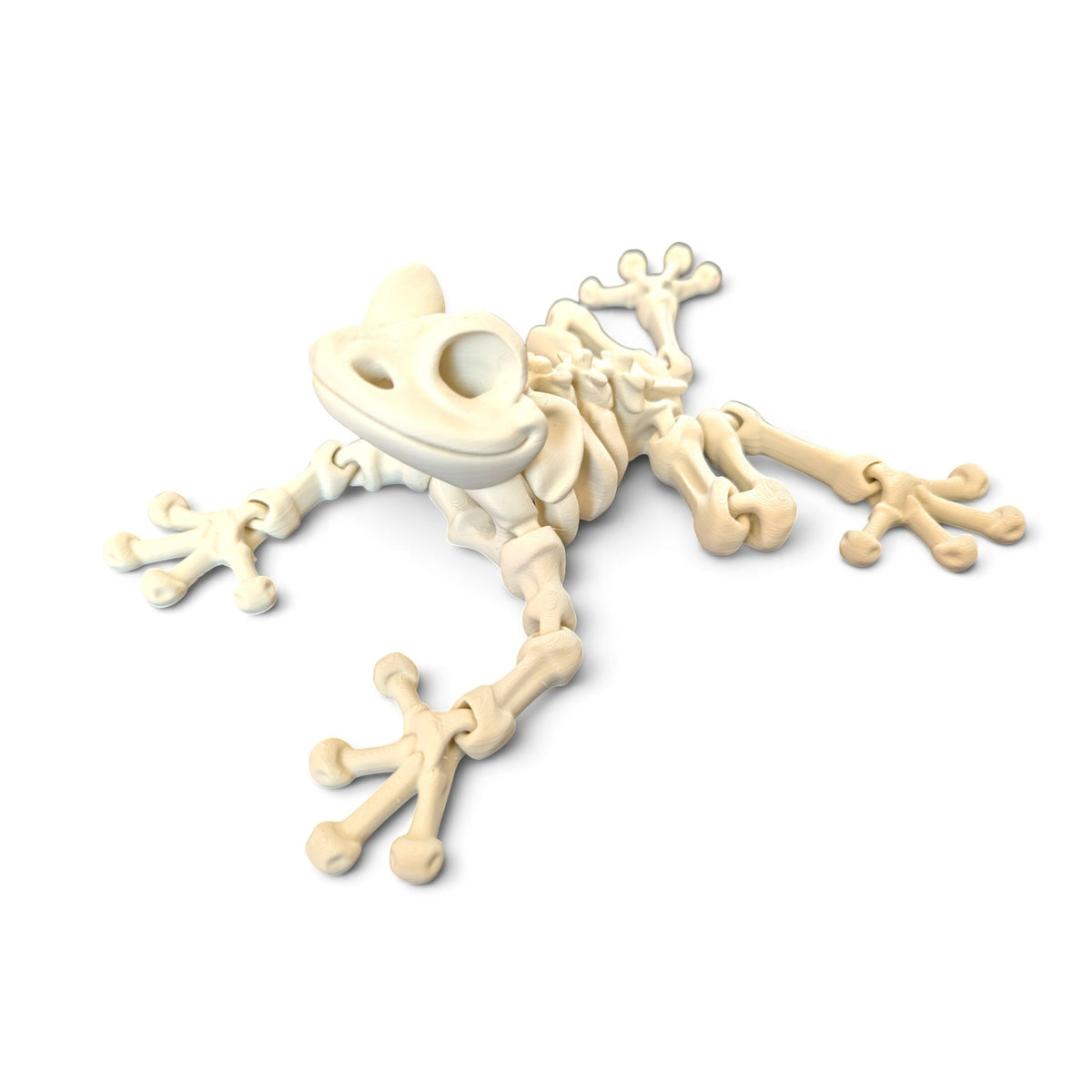 Skeleton frog