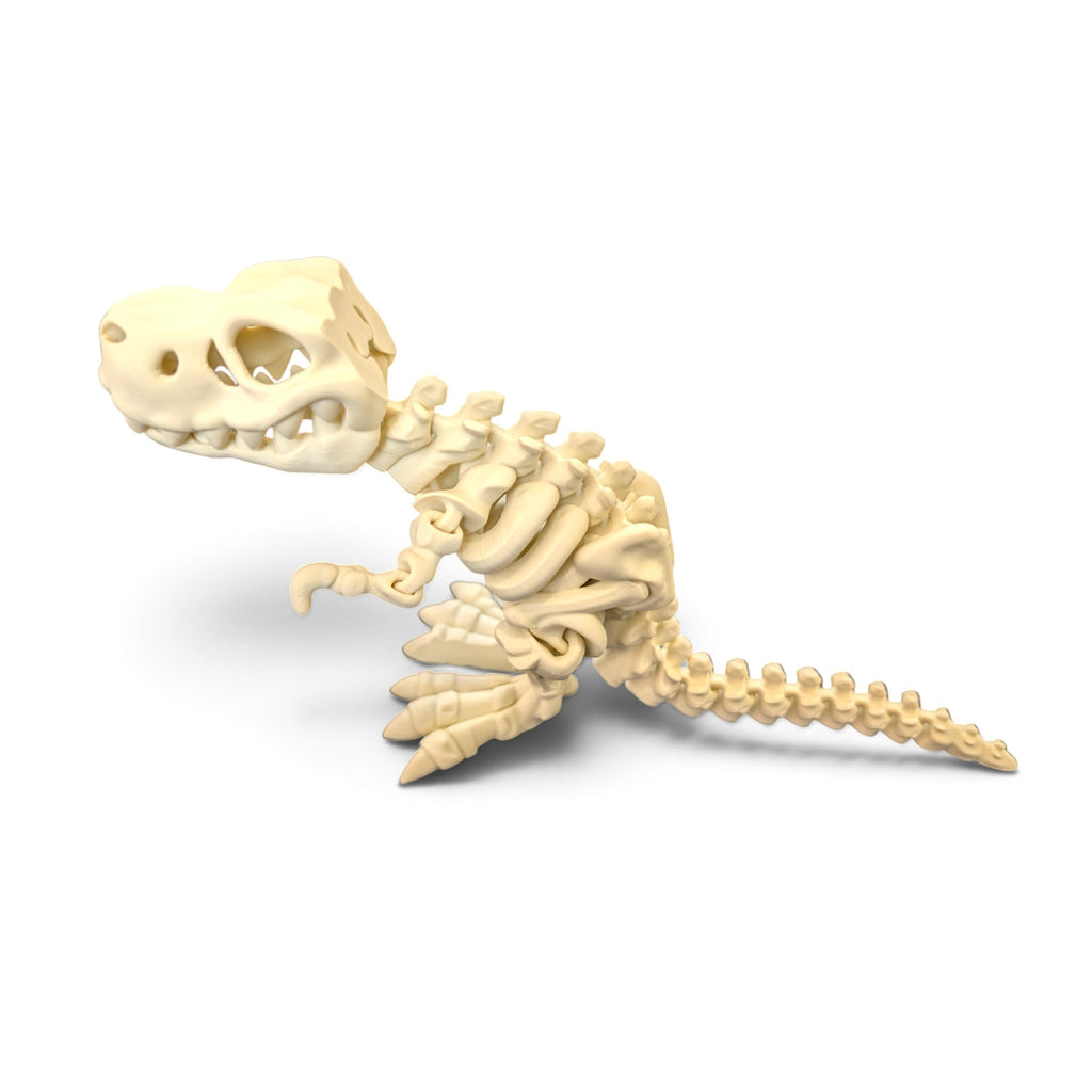 T-Rex skeleton