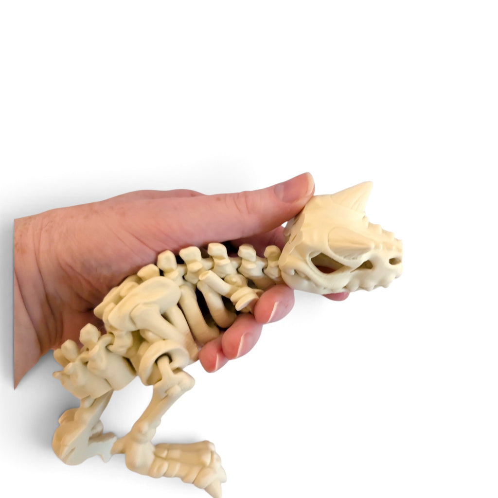 Carnotaurus skeleton