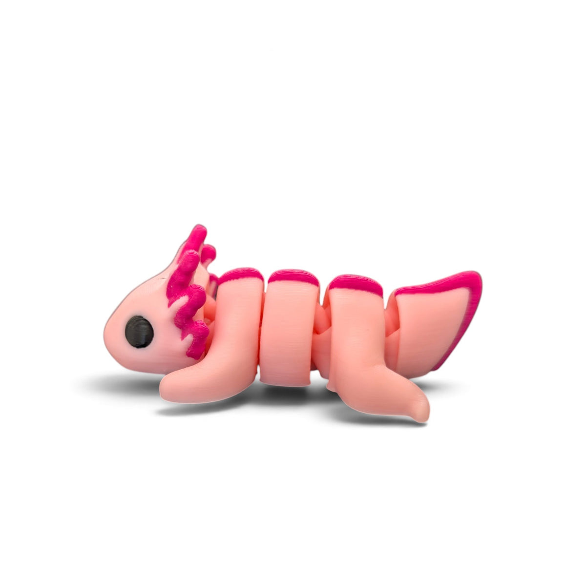 Axolotl