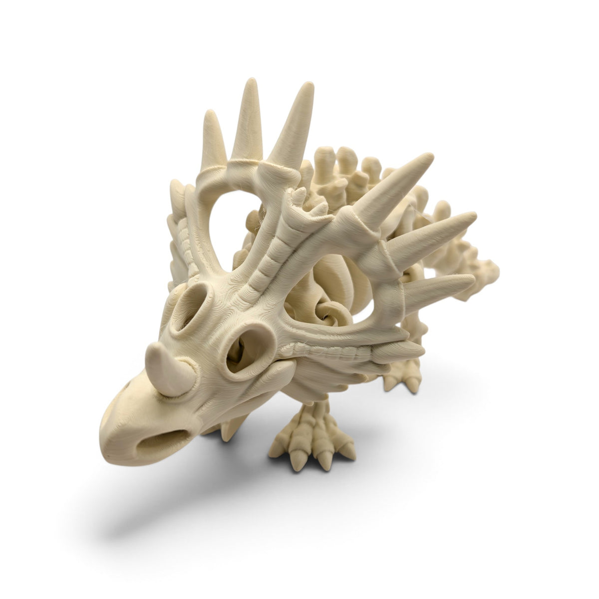 Styracosaurus Skeleton
