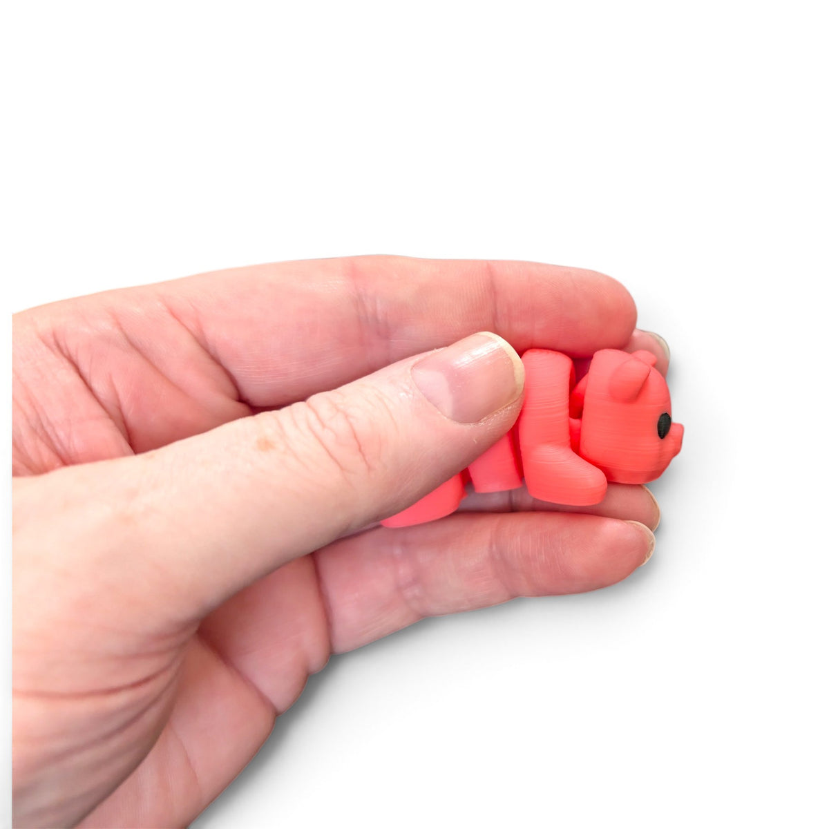 Baby pig