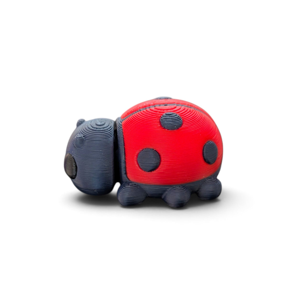 Ladybird