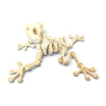 Skeleton frog
