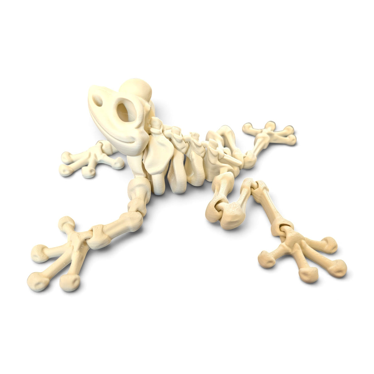 Skeleton frog