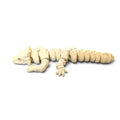 Zou Mini Skeleton Dragon