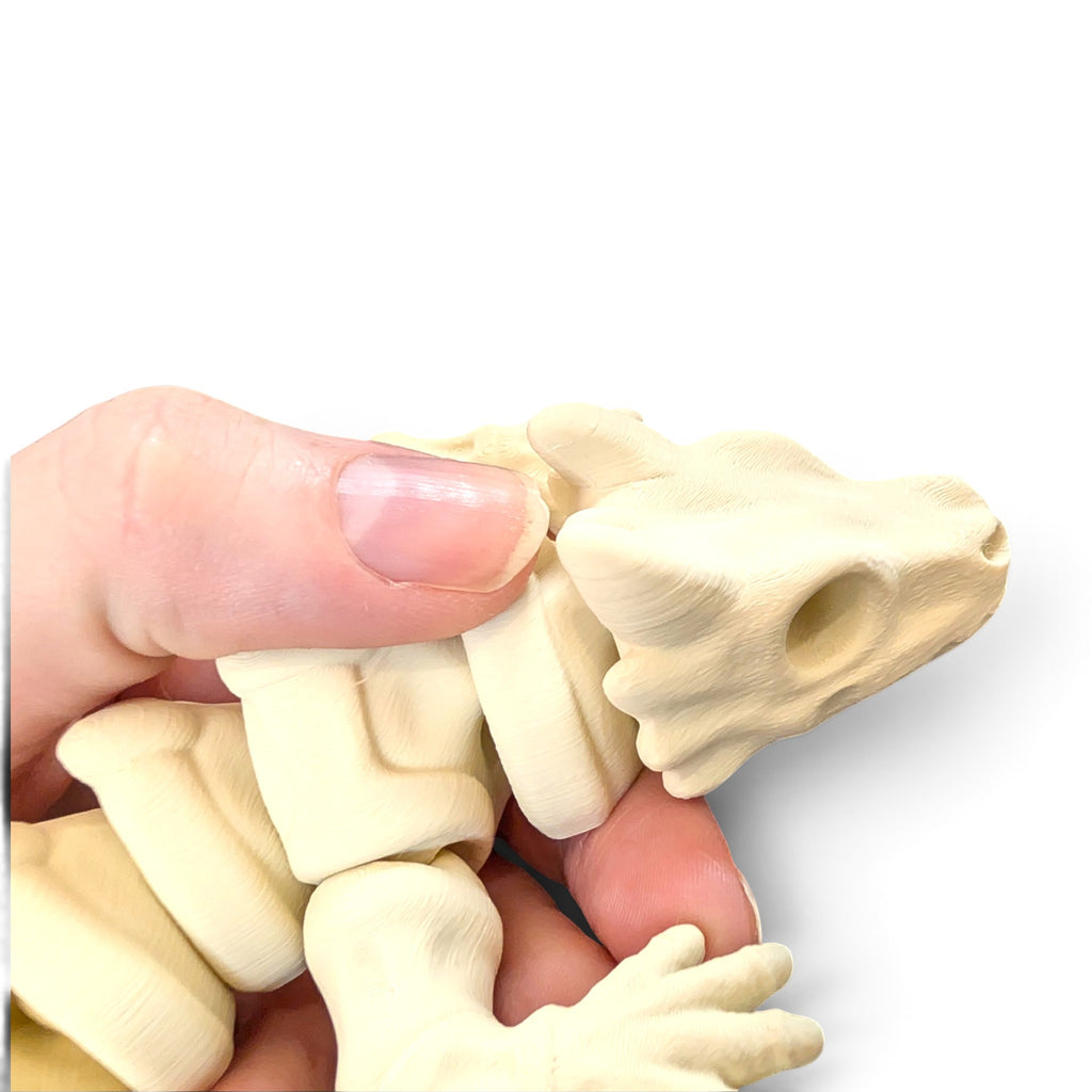 Zou Mini Skeleton Dragon